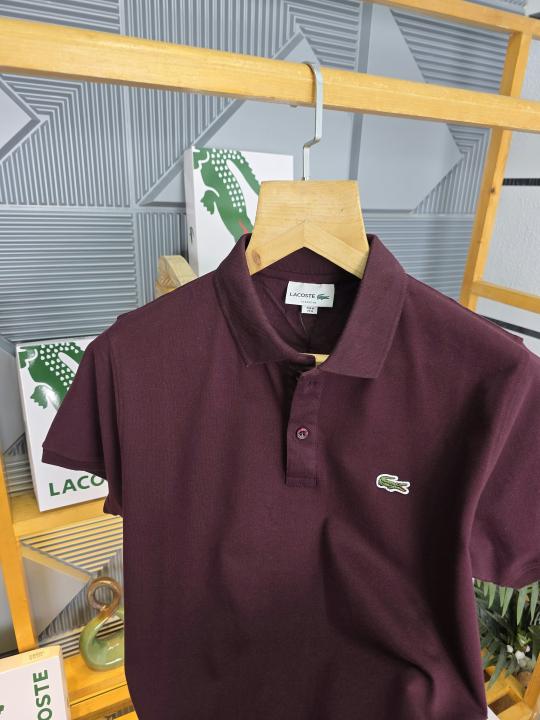 Lacost T Shirts Wine - WN